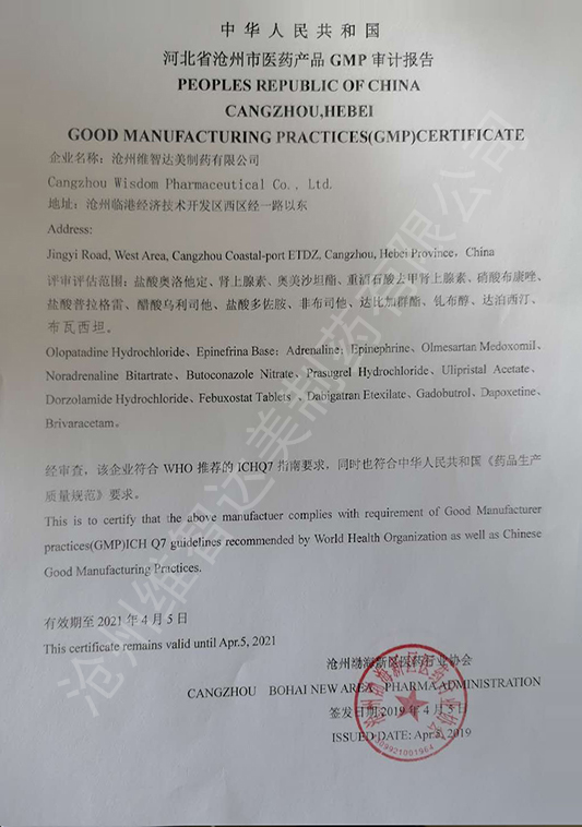 GMP審計報告
